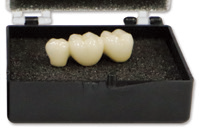 Lepio Crown Case open with dental restoration